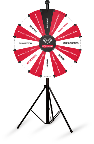 roue de la fortune professionnelle